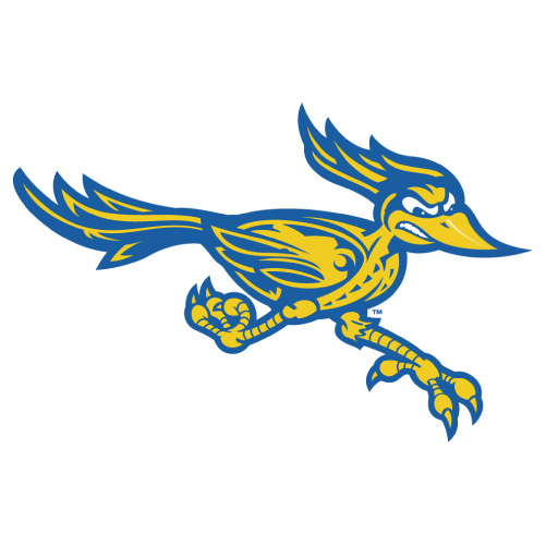 CSU Bakersfield Roadrunners logo Iron-on Transfers N4063